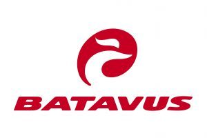 Batavus ebike accu's